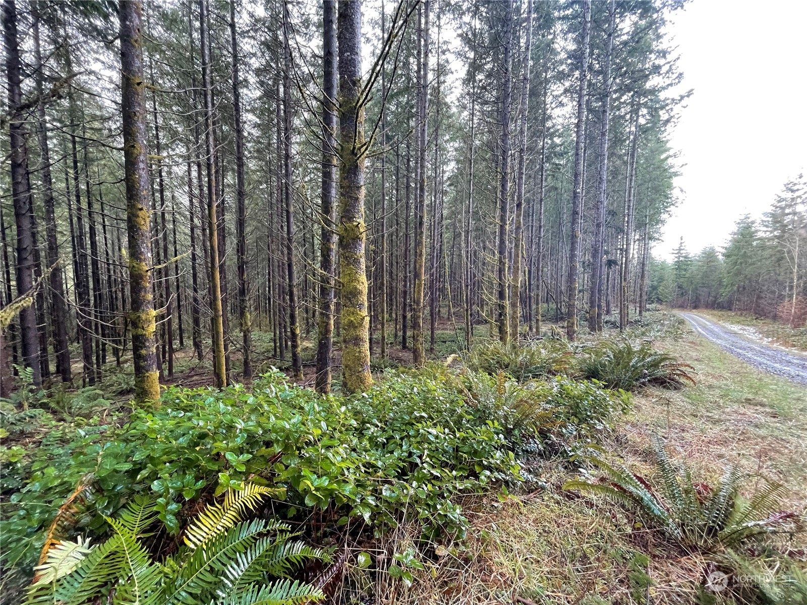 0 Lot A Ne Westerholm Road Property Photo 10