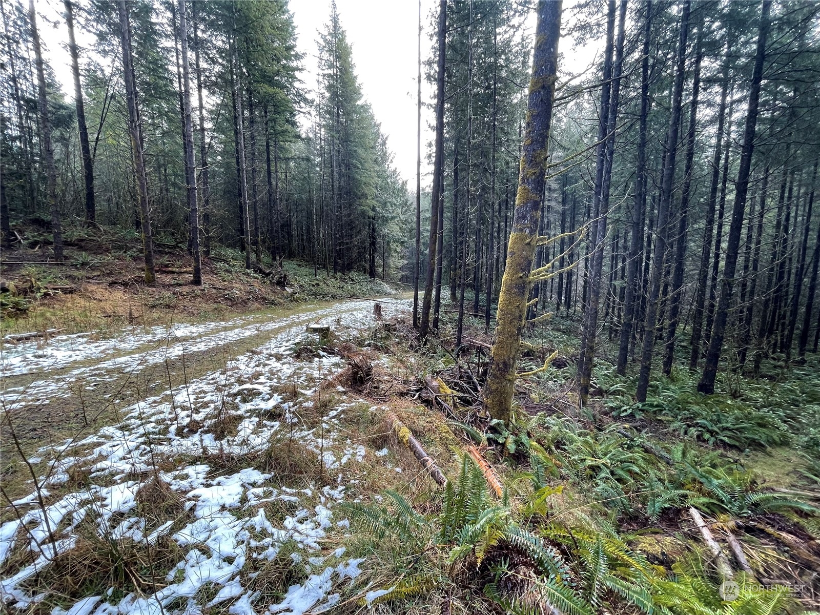 0 Lot D Ne Westerholm Road Property Photo 2