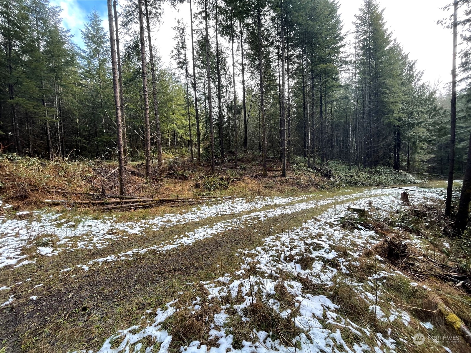 0 Lot D Ne Westerholm Road Property Photo 3