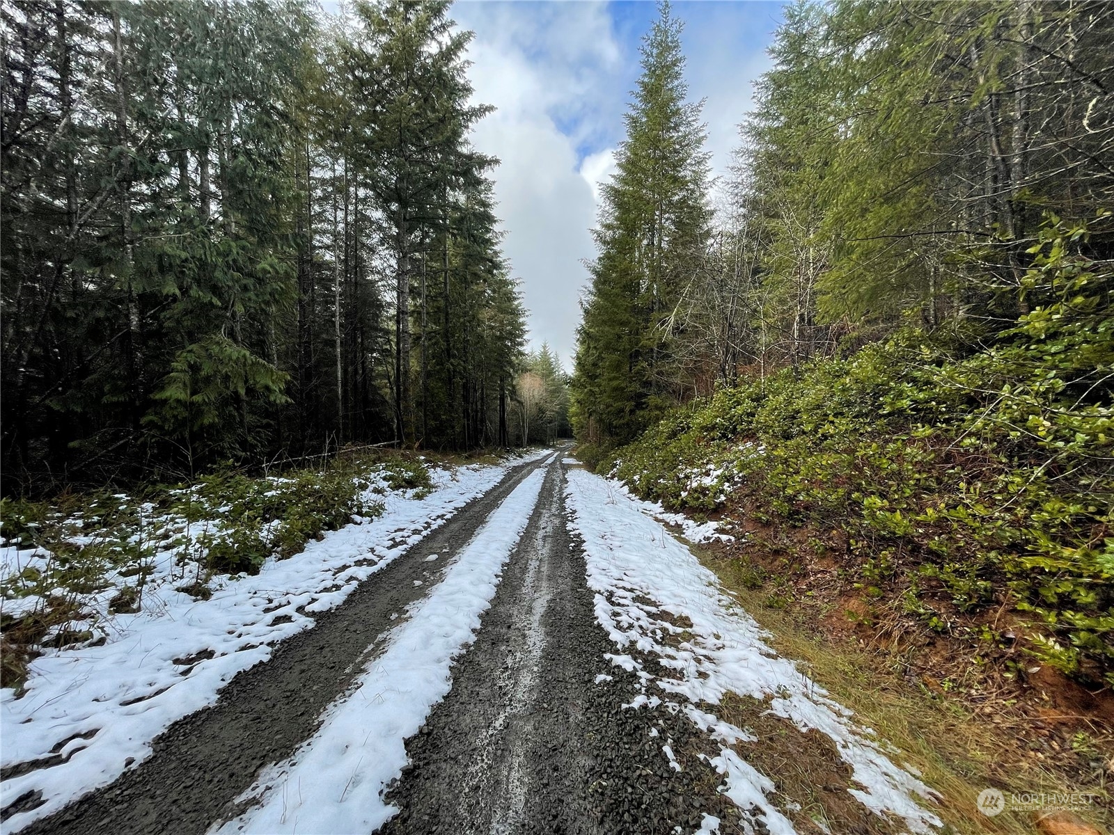 0 Lot D Ne Westerholm Road Property Photo 4