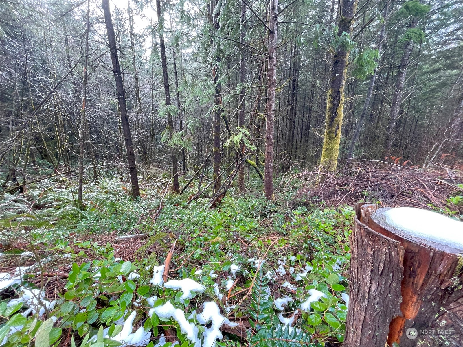 0 Lot D Ne Westerholm Road Property Photo 5