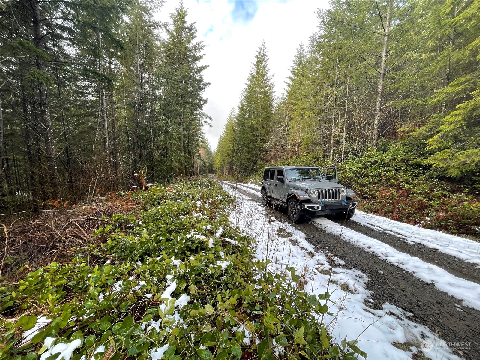 0 Lot D Ne Westerholm Road Property Photo 6