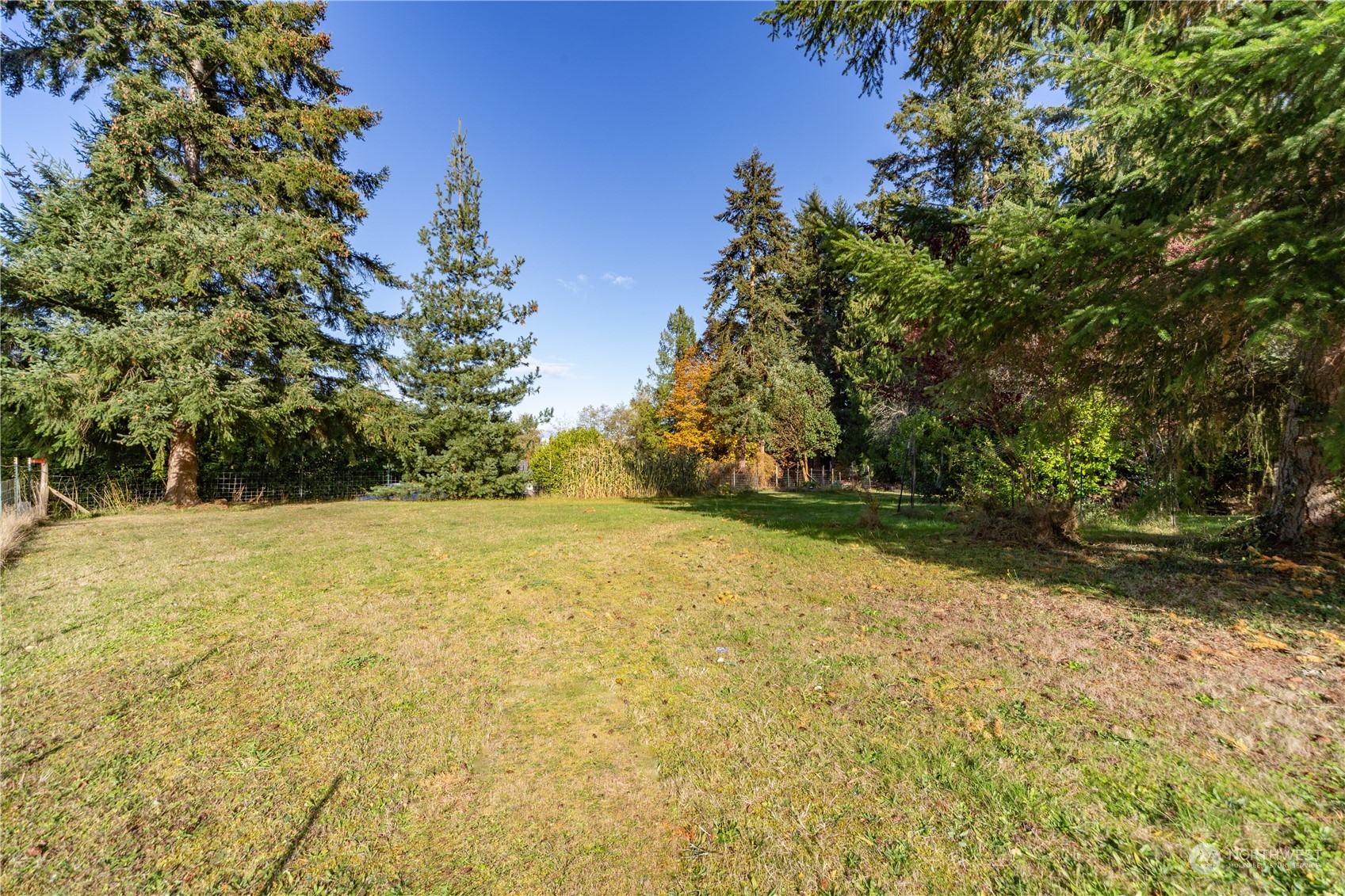 781 Irondale Road Property Photo 12