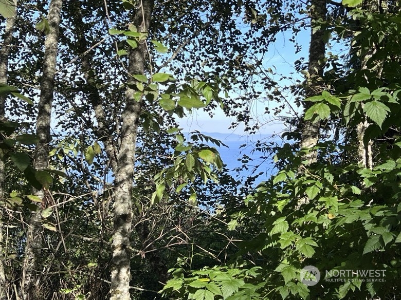 9999 Olallie Trail Property Photo 1