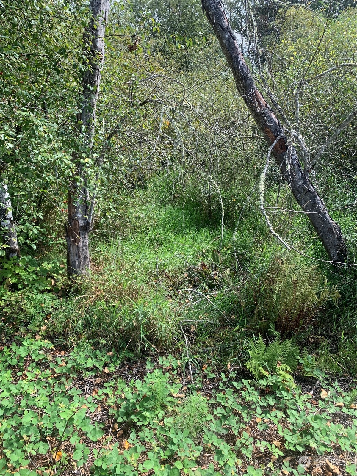 93 Xx Meadowbrook Way Property Photo 1
