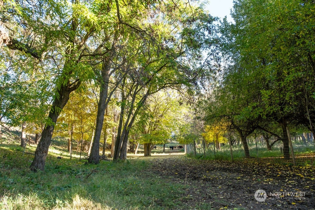 122 Herron Hollow Road Property Photo 29