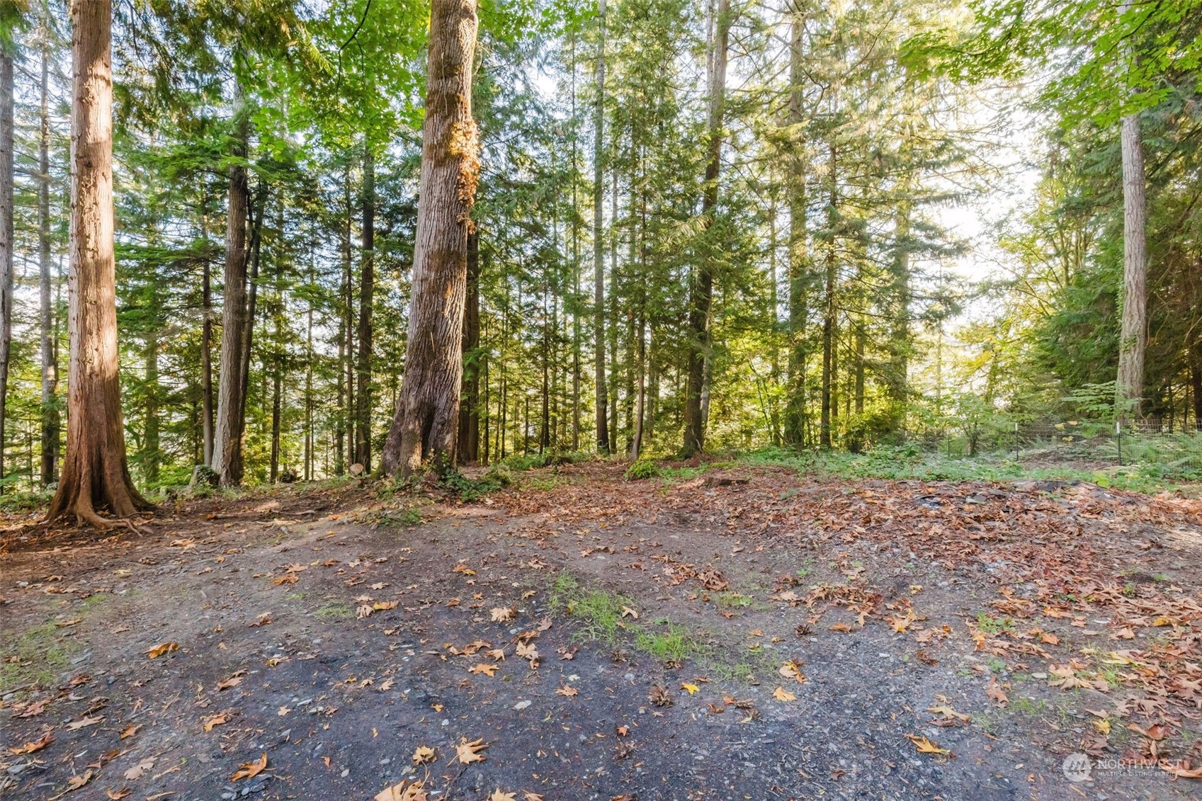 10012 Brush Arbor Lane Property Photo 24
