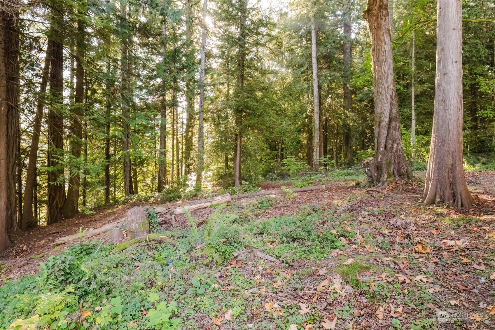 10012 Brush Arbor Lane Property Photo 28