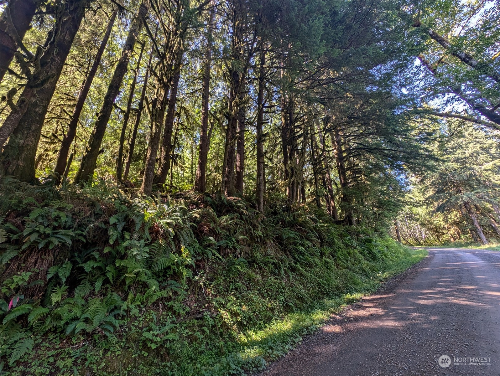 99991 Dowans Creek Road Property Photo