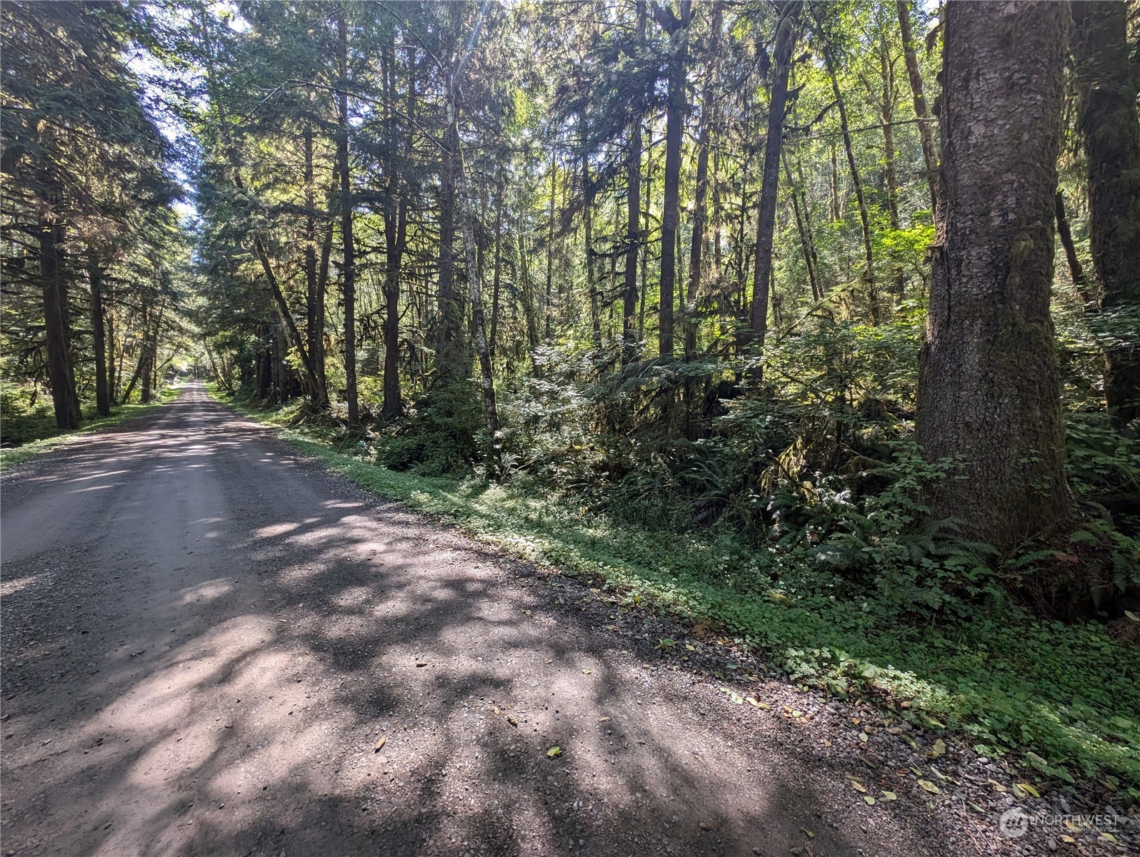 99992 Dowans Creek Road Property Photo