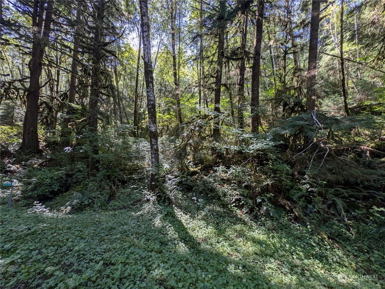99992 Dowans Creek Road Property Photo 8