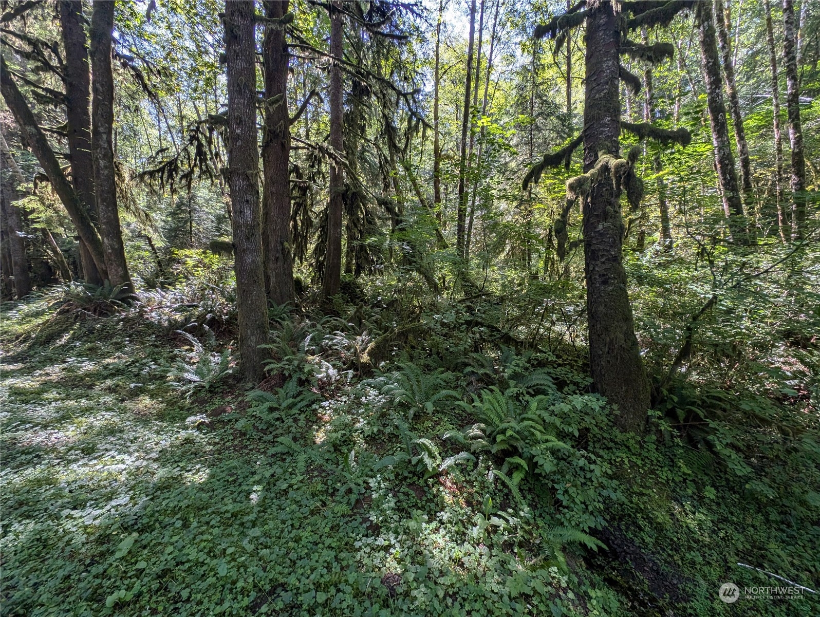 99992 Dowans Creek Road Property Photo 9