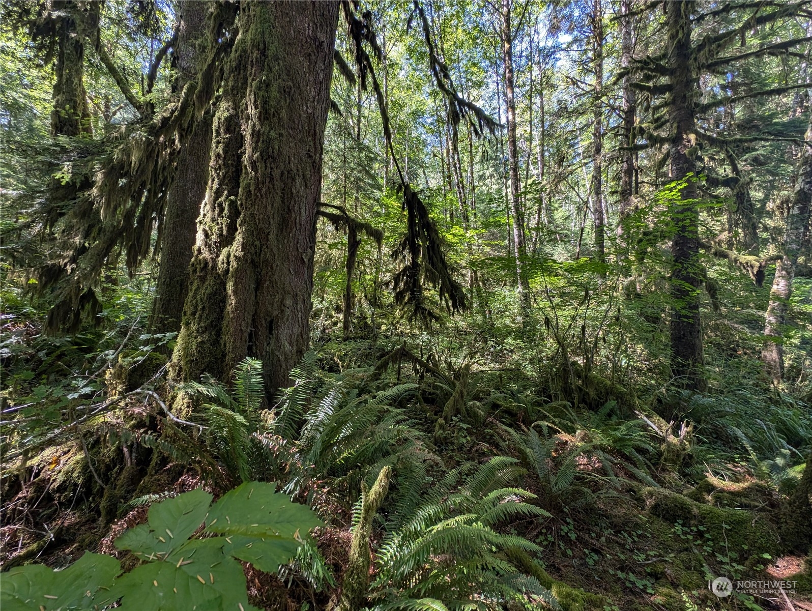 99992 Dowans Creek Road Property Photo 10
