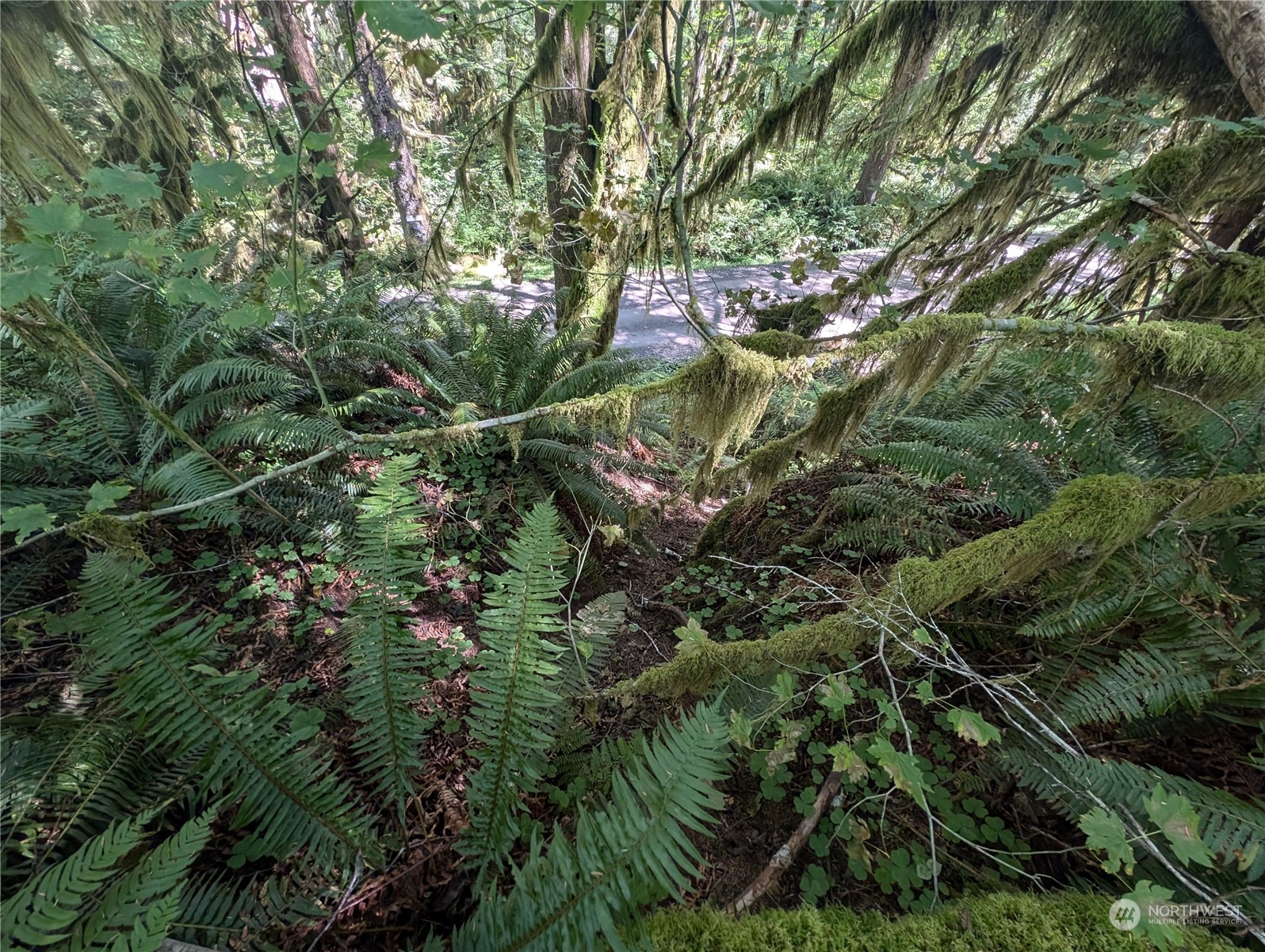 99992 Dowans Creek Road Property Photo 11
