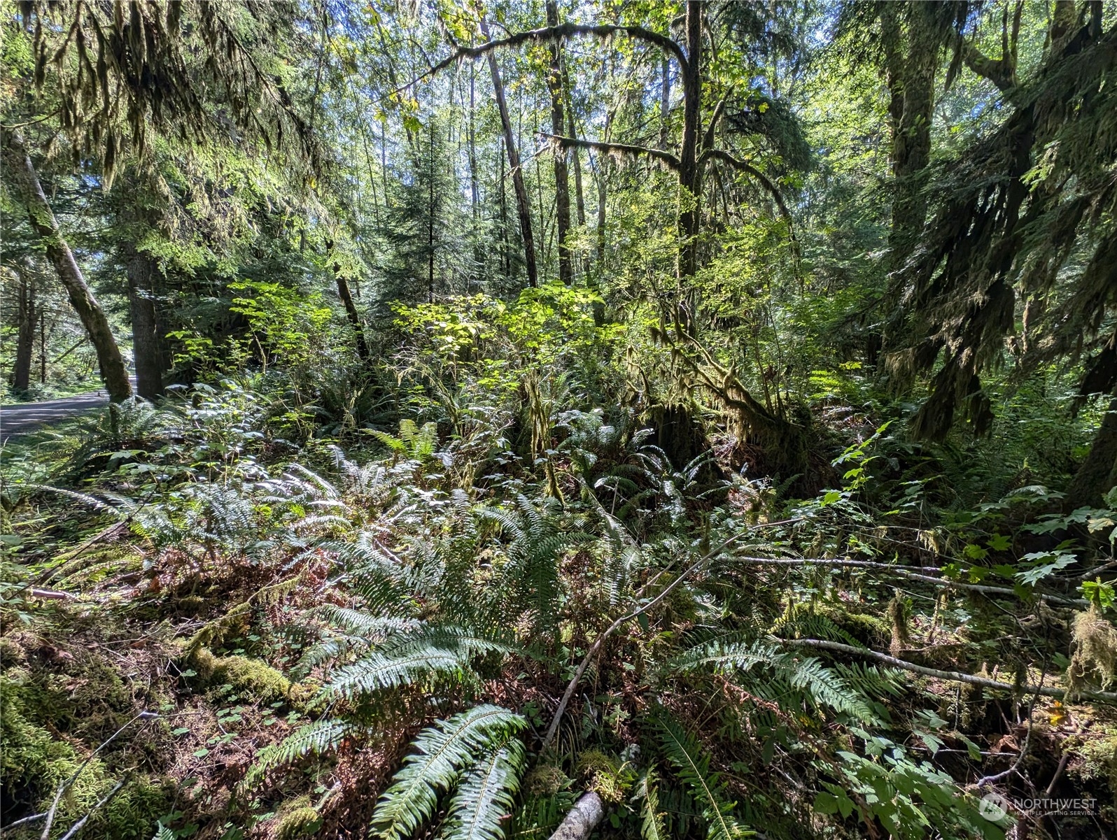 99992 Dowans Creek Road Property Photo 12