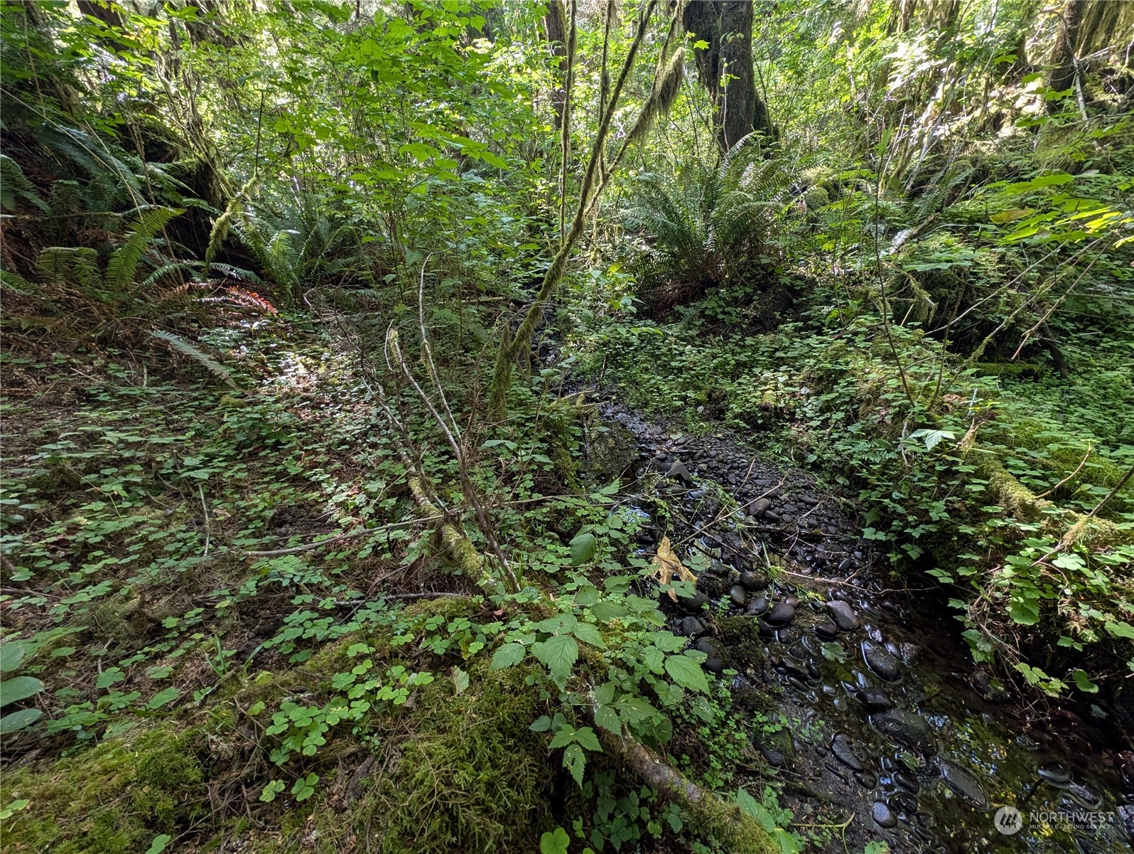 99992 Dowans Creek Road Property Photo 13