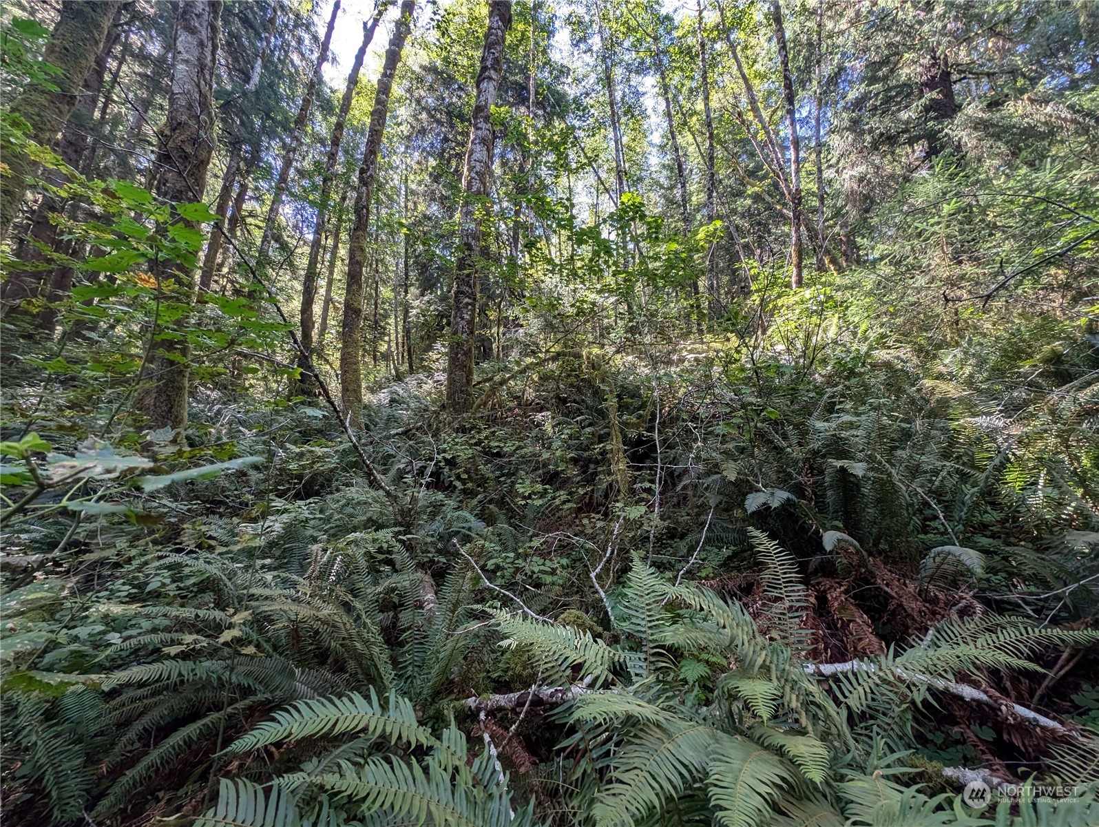 99992 Dowans Creek Road Property Photo 14