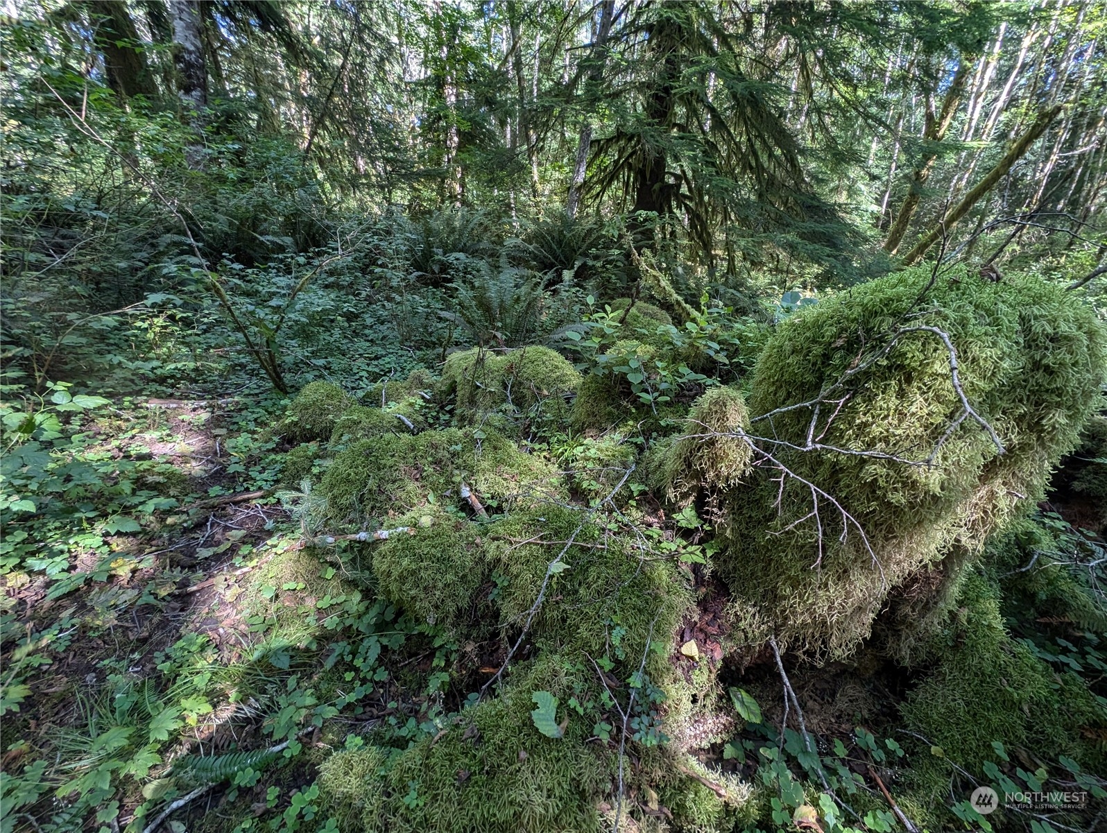 99992 Dowans Creek Road Property Photo 15