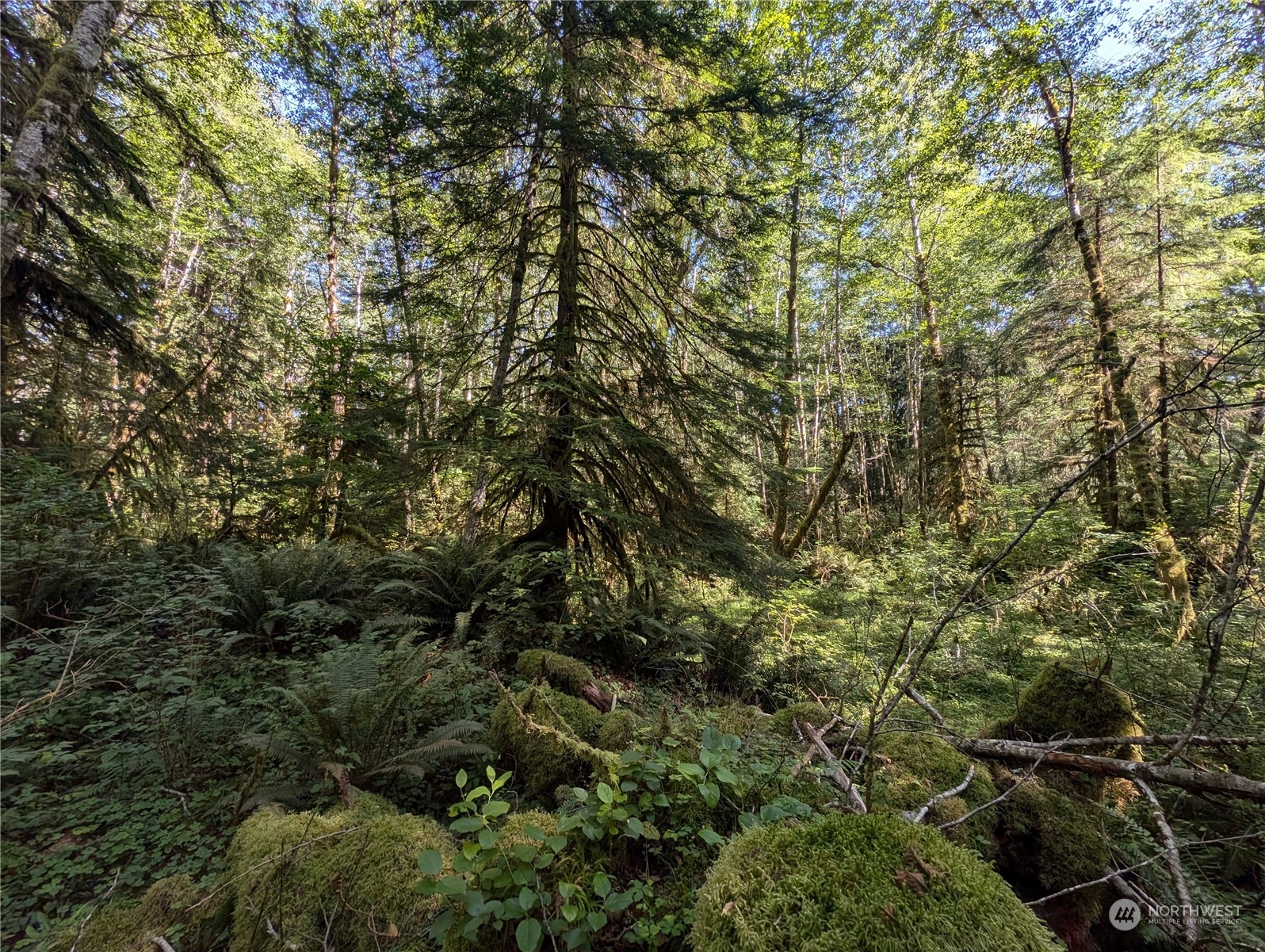 99992 Dowans Creek Road Property Photo 16