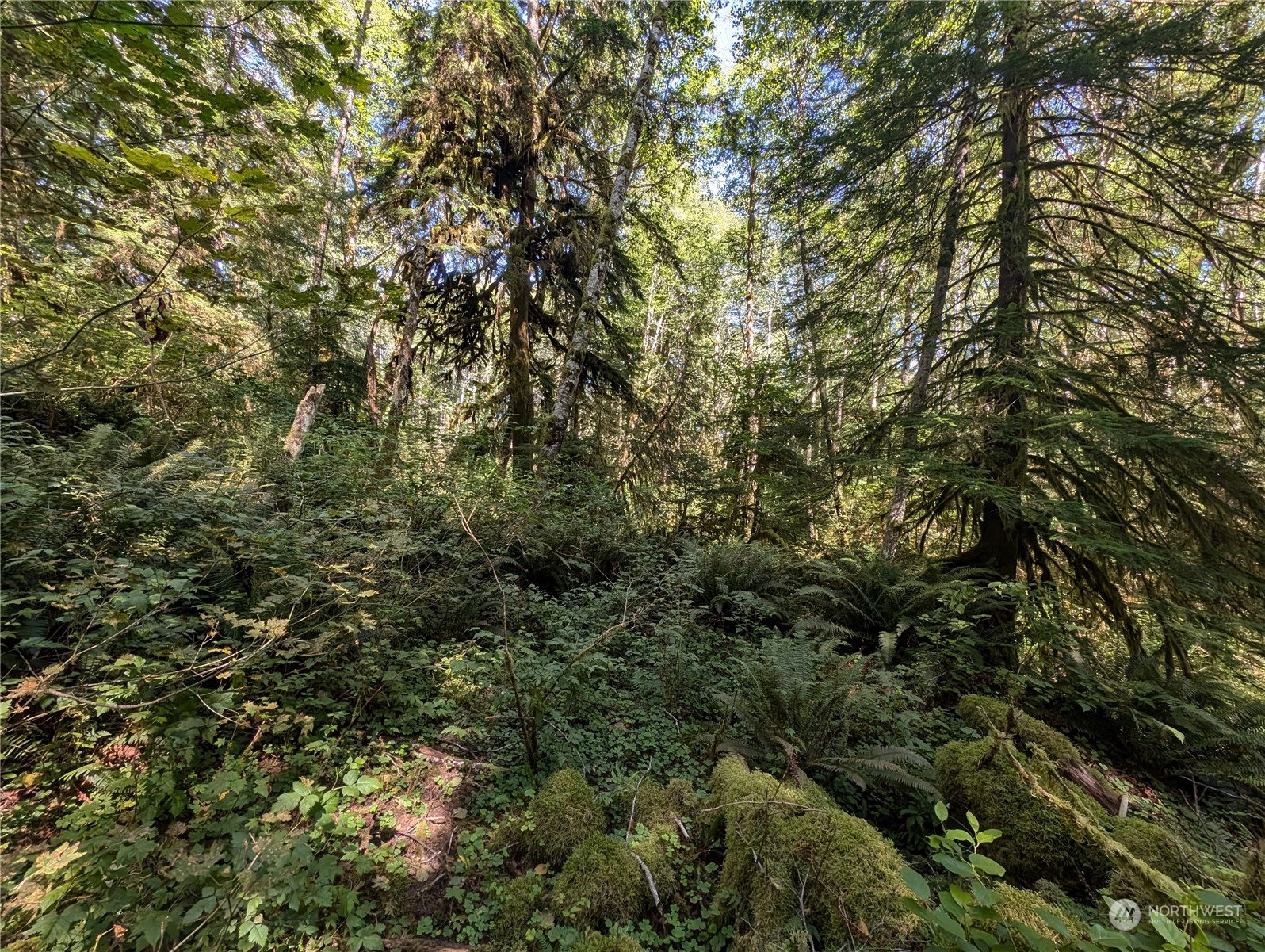 99992 Dowans Creek Road Property Photo 17