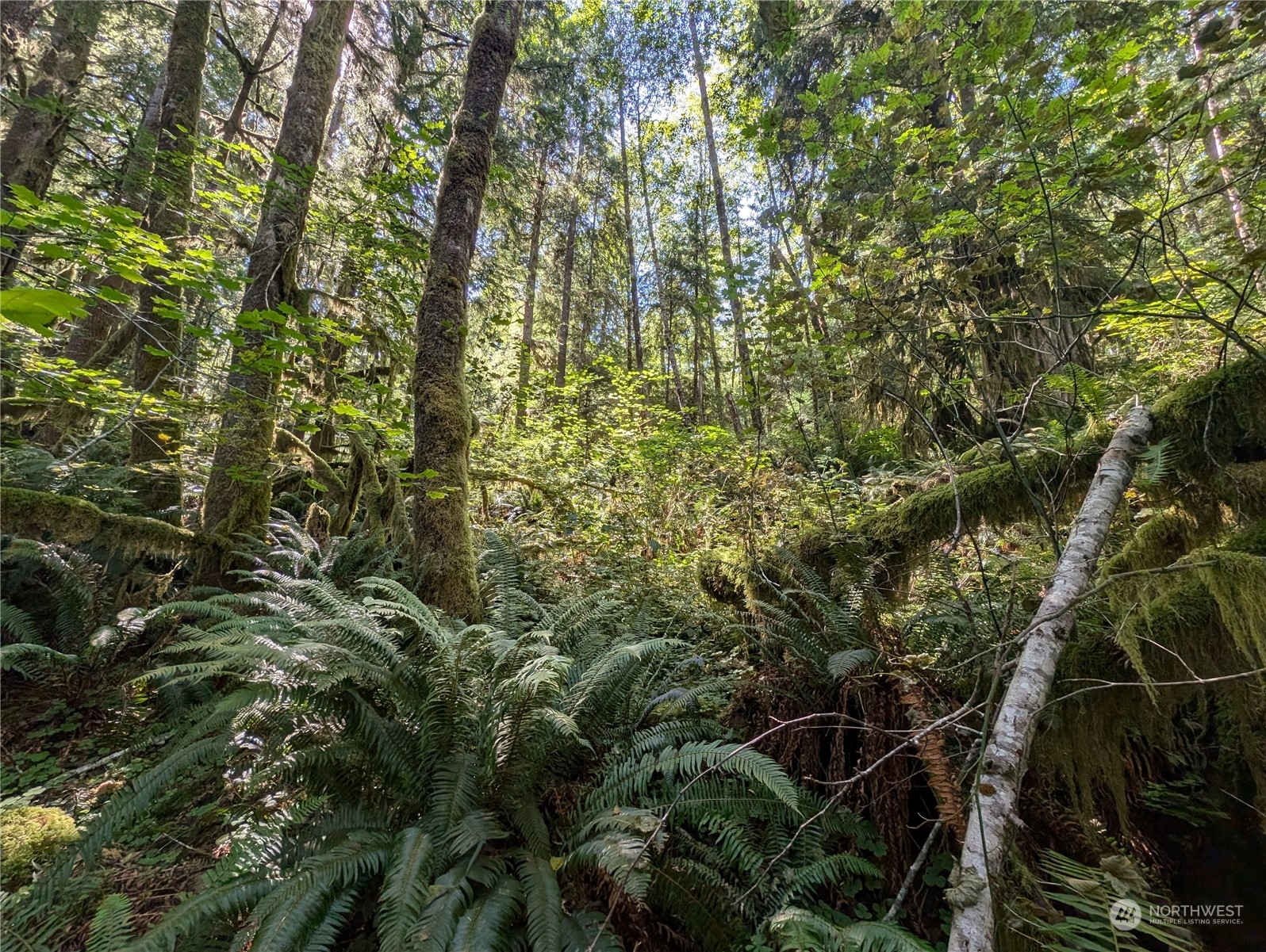 99992 Dowans Creek Road Property Photo 18