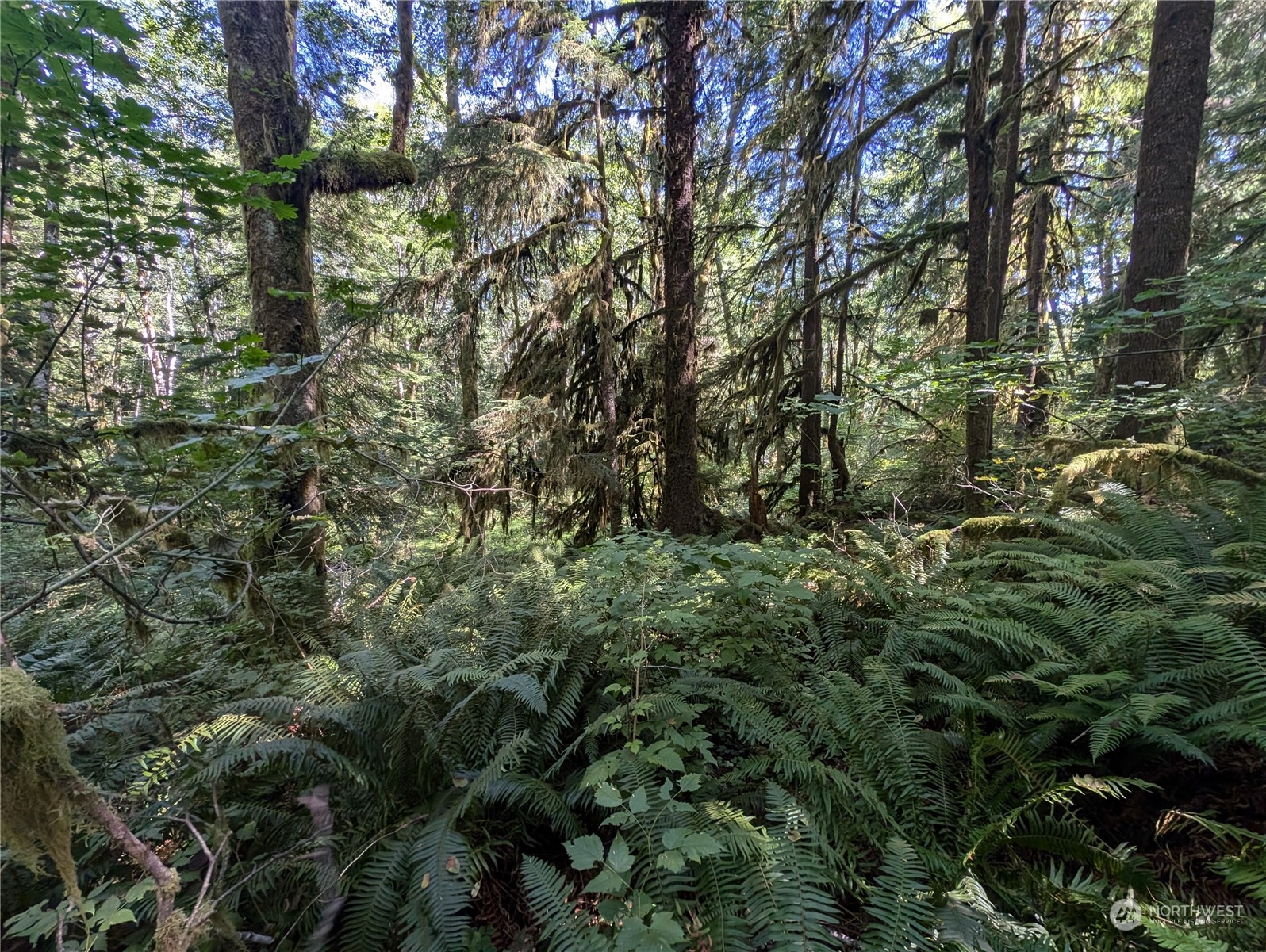 99992 Dowans Creek Road Property Photo 19
