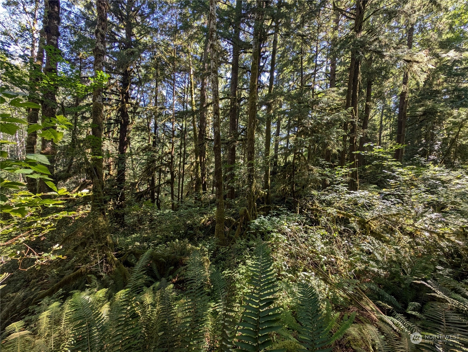 99992 Dowans Creek Road Property Photo 20