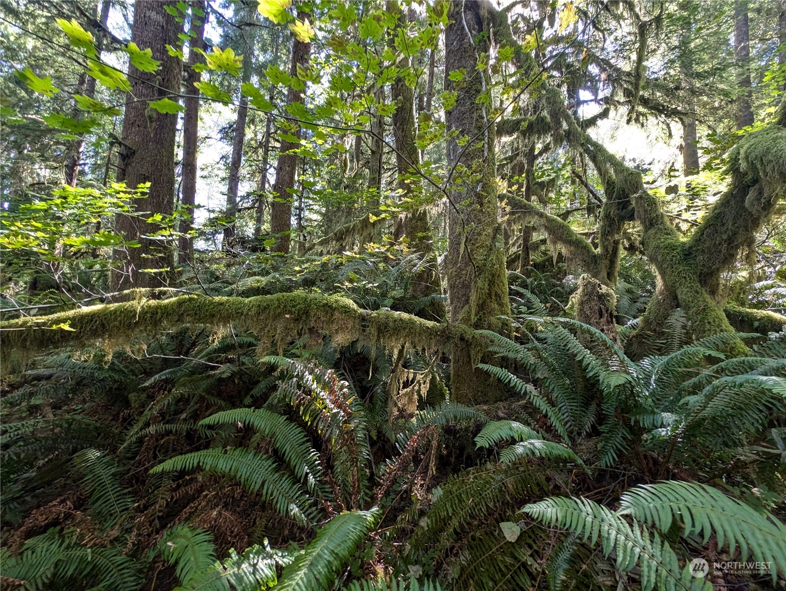 99992 Dowans Creek Road Property Photo 21