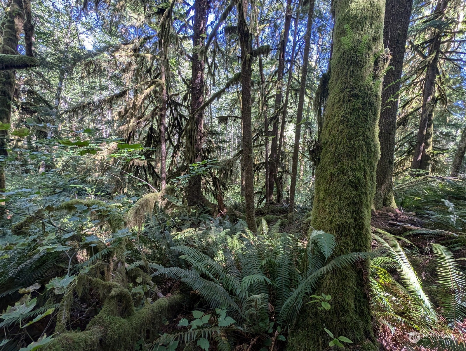 99992 Dowans Creek Road Property Photo 22