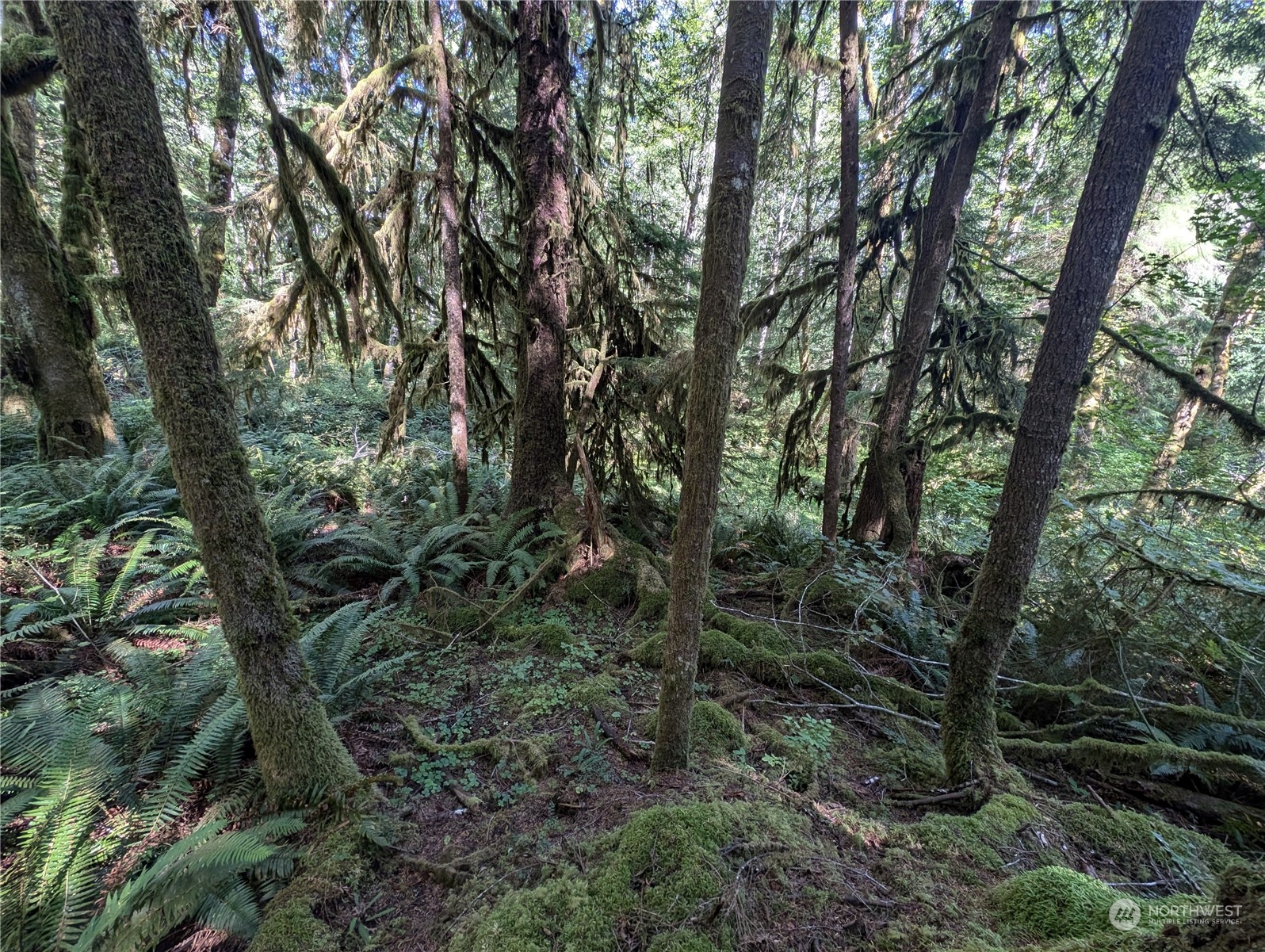 99992 Dowans Creek Road Property Photo 23