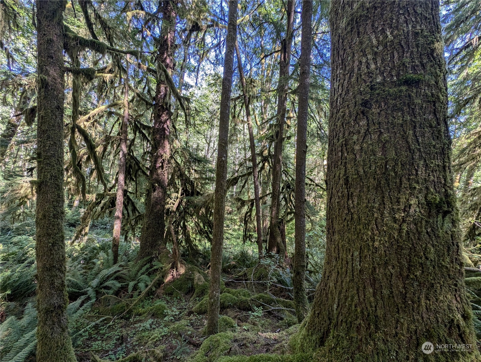 99992 Dowans Creek Road Property Photo 24