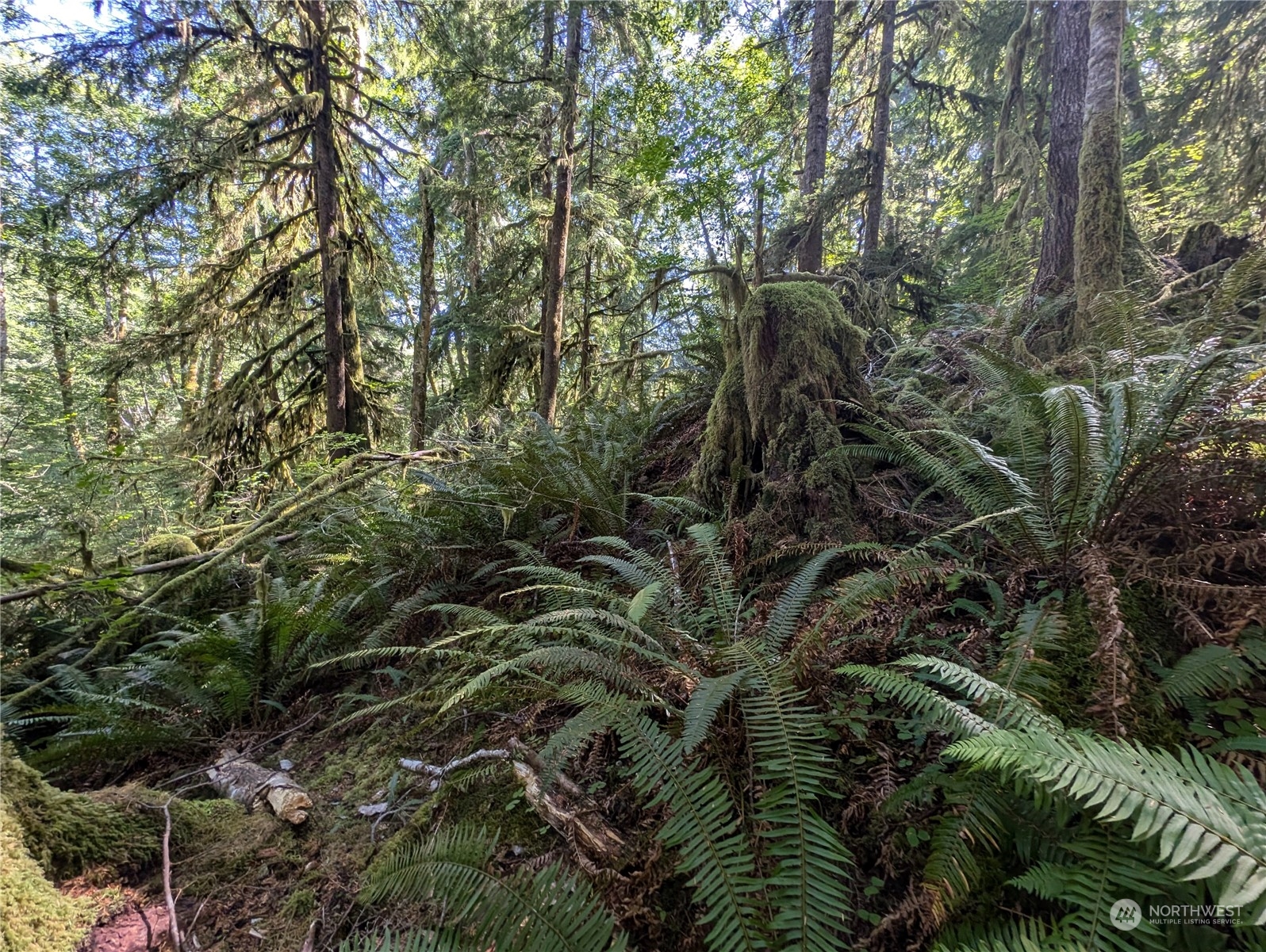 99992 Dowans Creek Road Property Photo 25