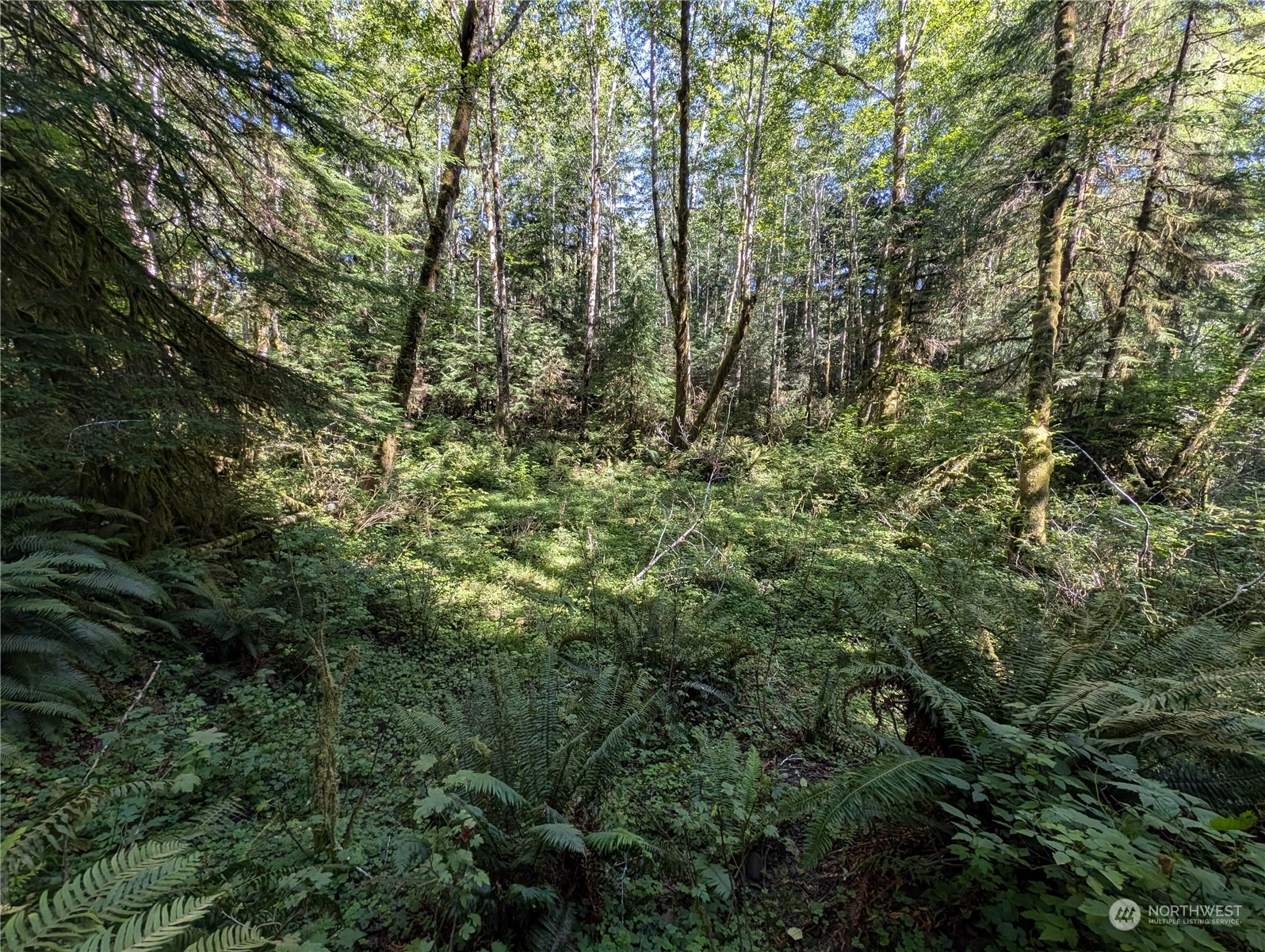 99992 Dowans Creek Road Property Photo 26