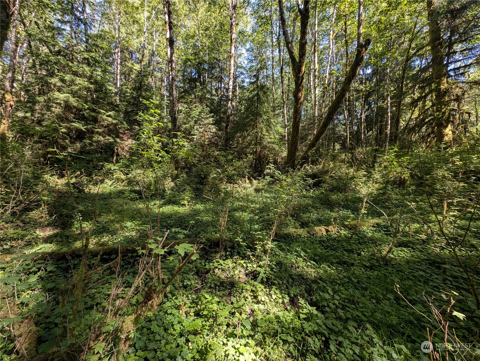 99992 Dowans Creek Road Property Photo 27