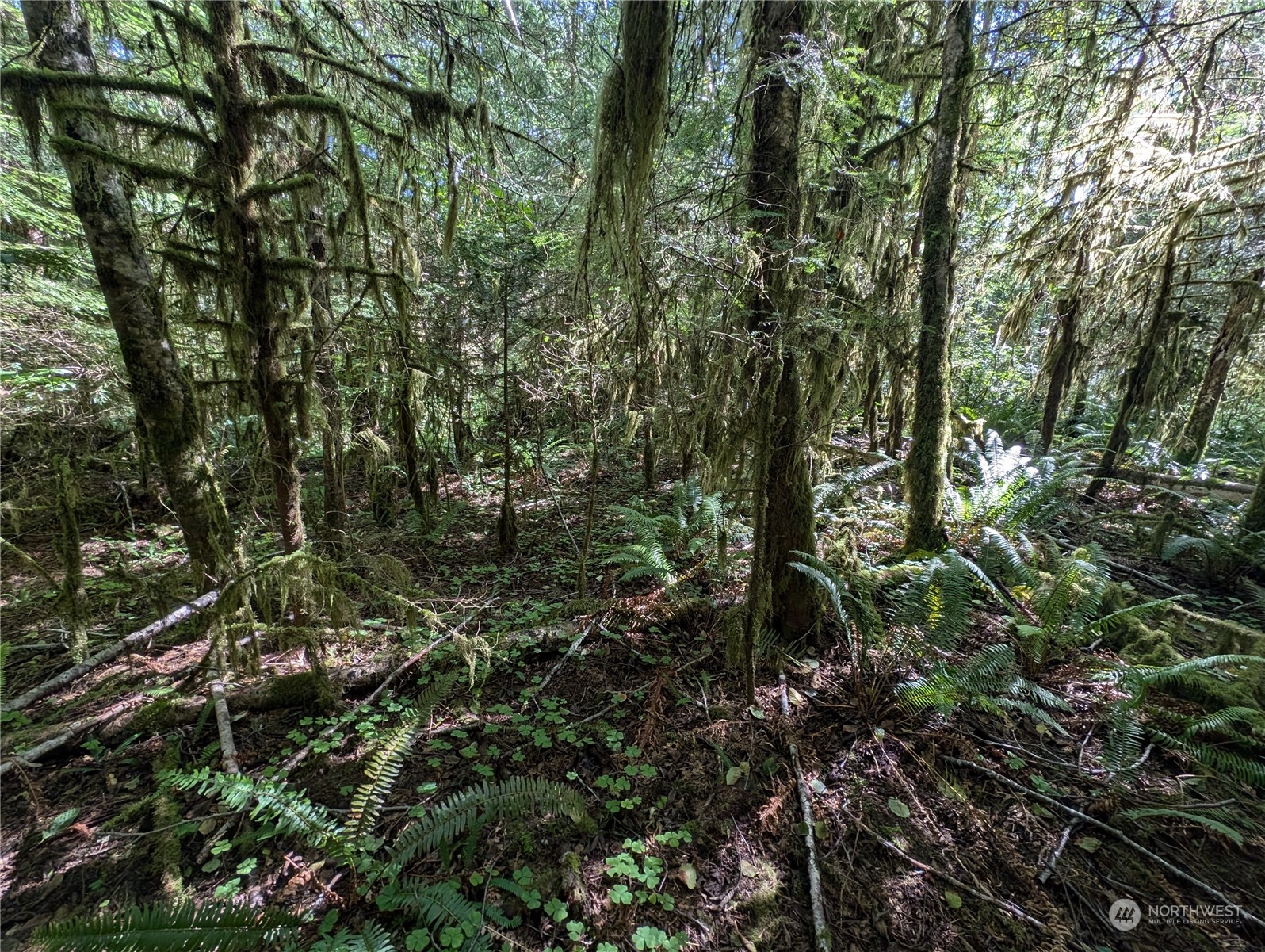 99992 Dowans Creek Road Property Photo 28