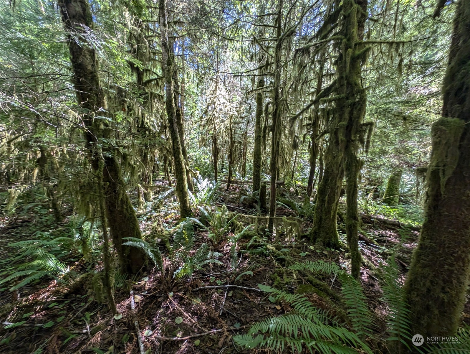 99992 Dowans Creek Road Property Photo 29