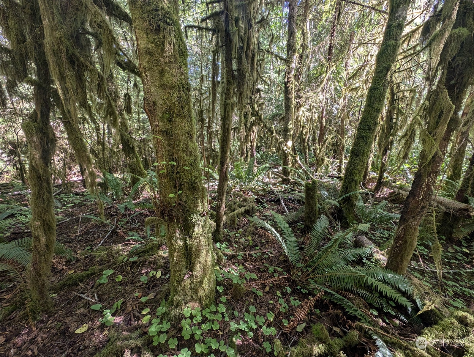 99992 Dowans Creek Road Property Photo 30