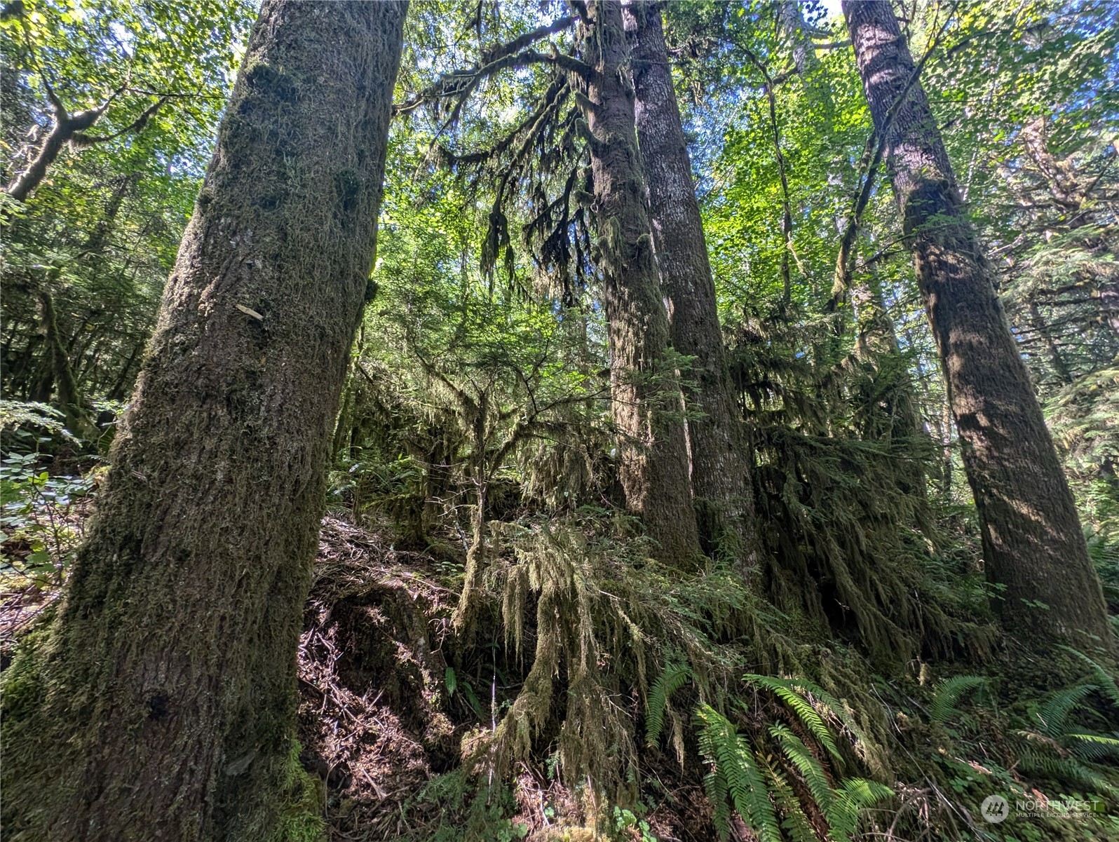 99992 Dowans Creek Road Property Photo 31