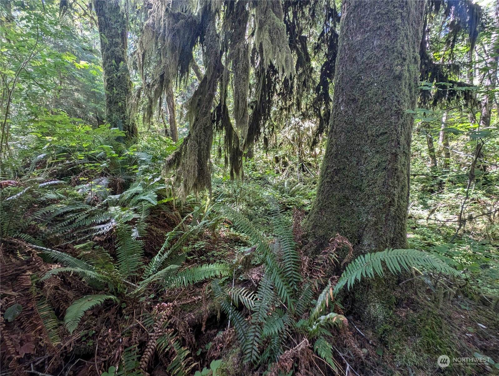 99992 Dowans Creek Road Property Photo 32