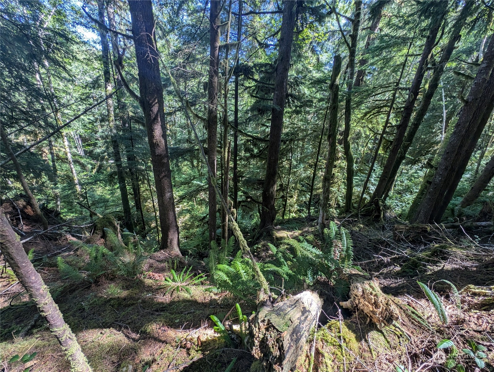 99992 Dowans Creek Road Property Photo 34