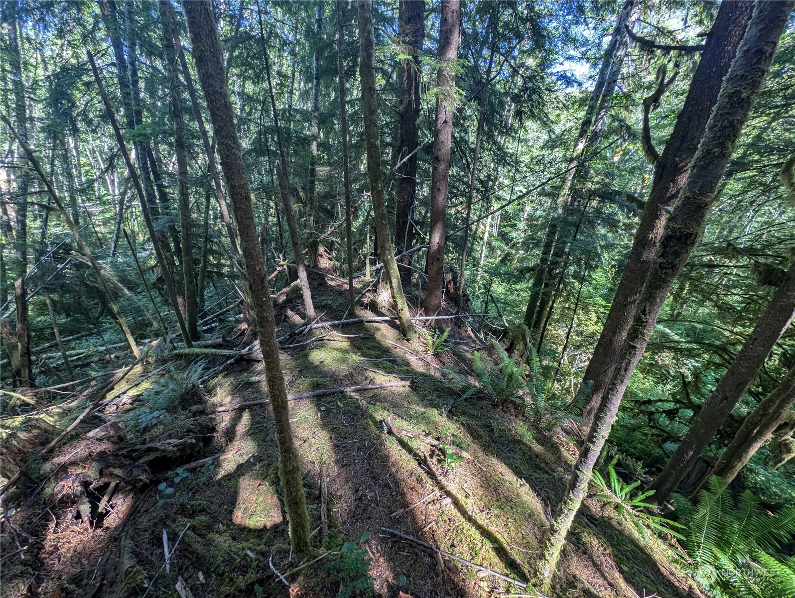 99992 Dowans Creek Road Property Photo 35