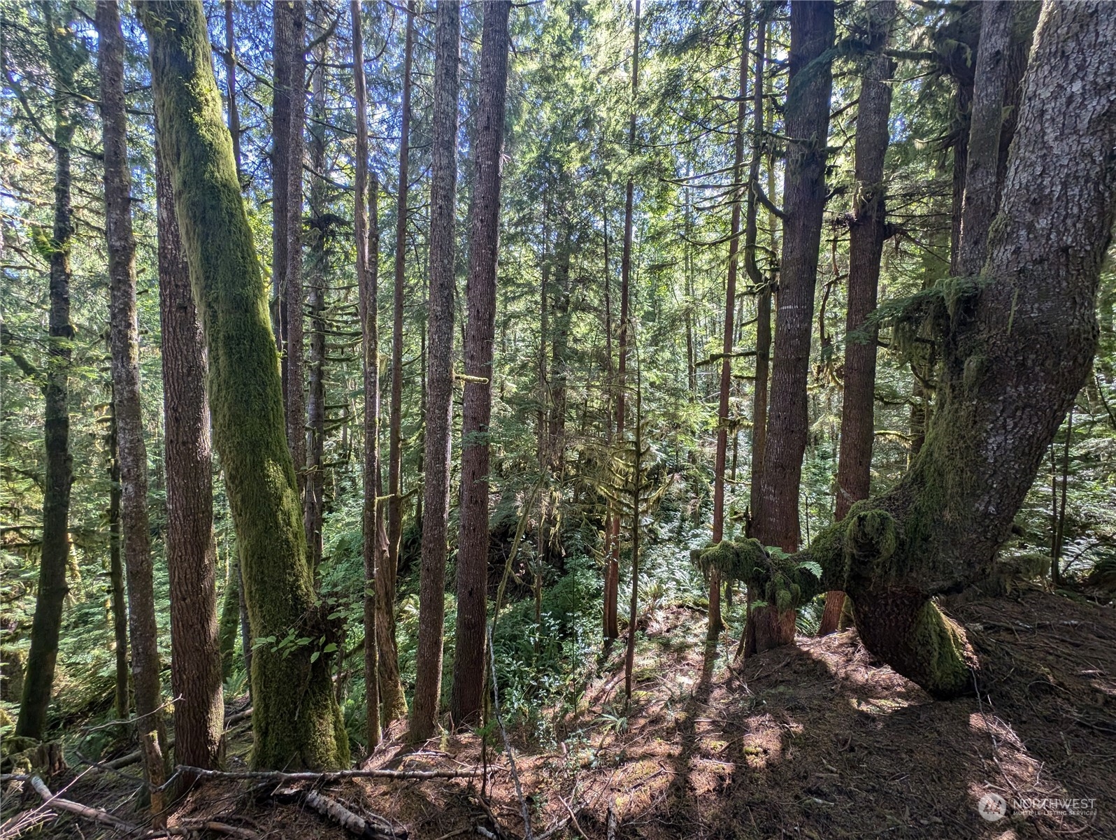99992 Dowans Creek Road Property Photo 37