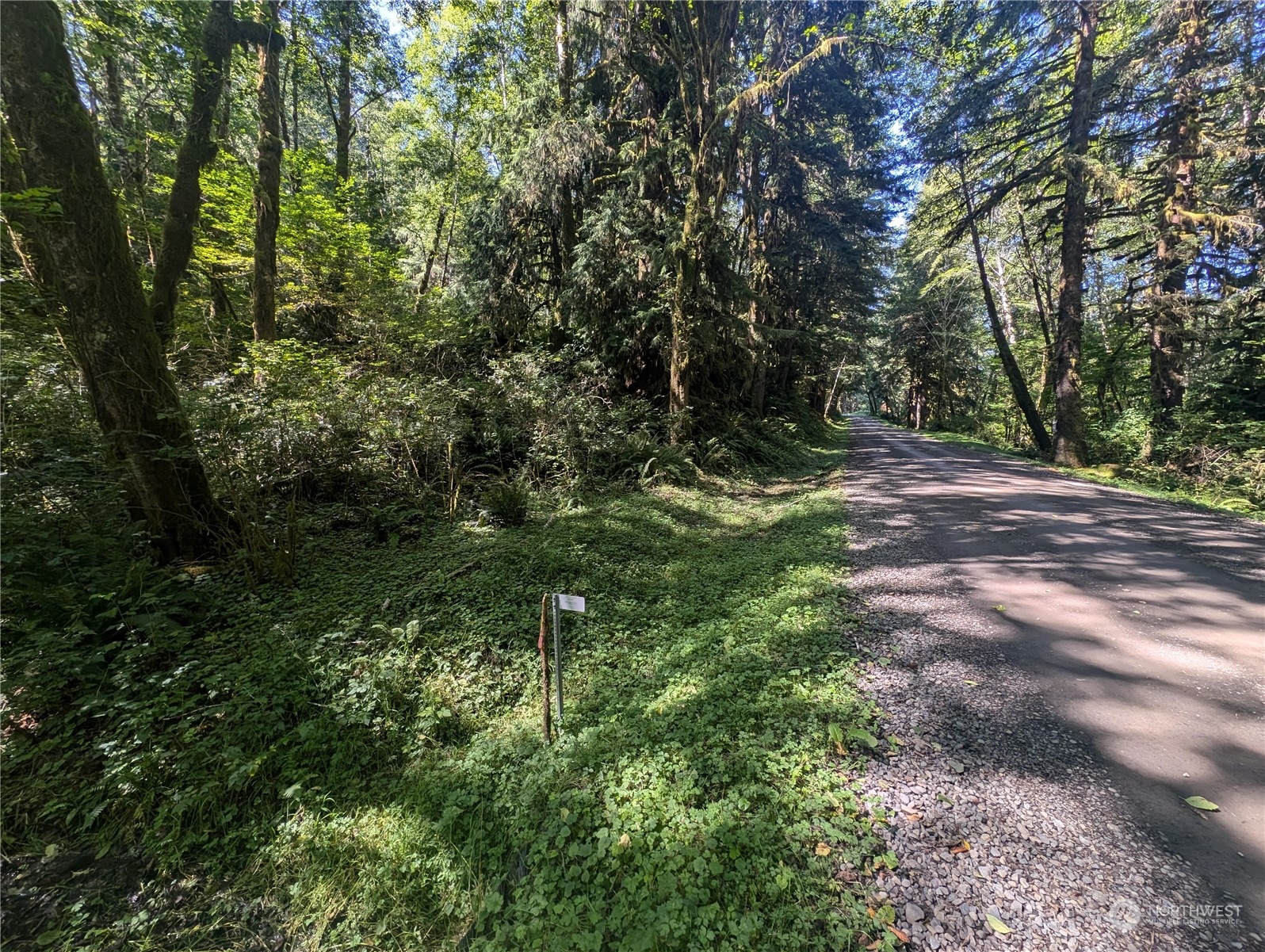99992 Dowans Creek Road Property Photo 38