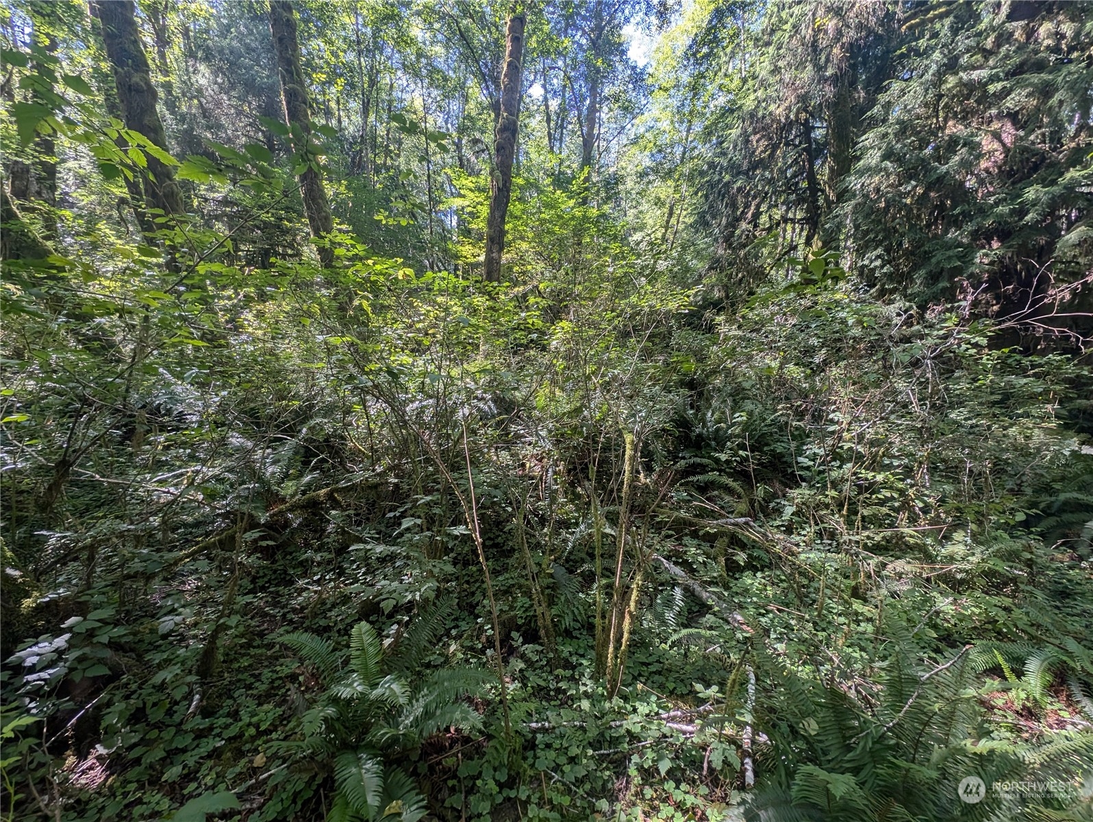 99992 Dowans Creek Road Property Photo 39