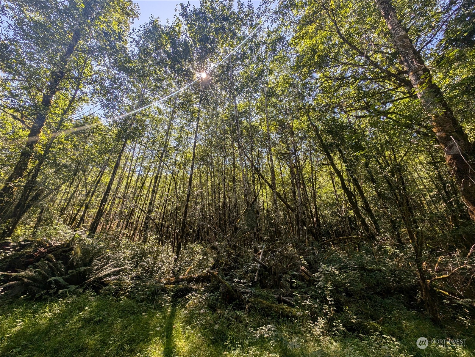 99993 Dowans Creek Road Property Photo