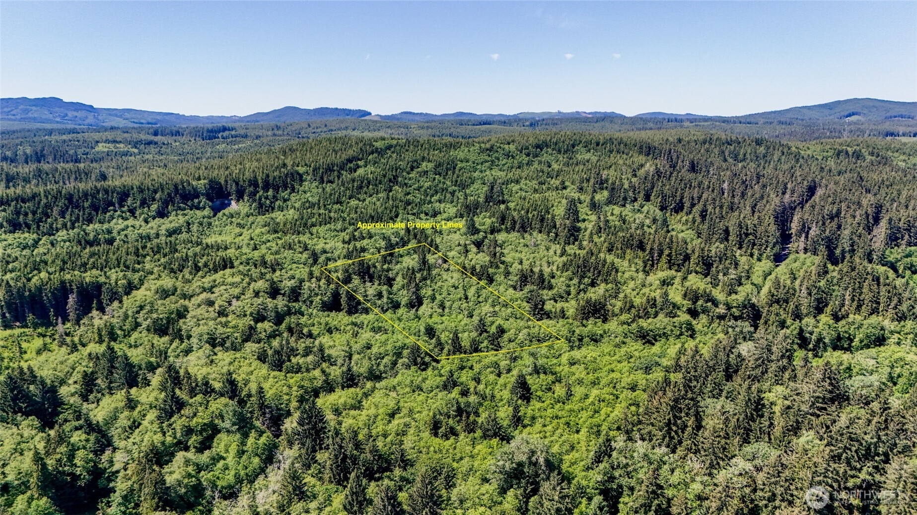 99993 Dowans Creek Road Property Photo 2