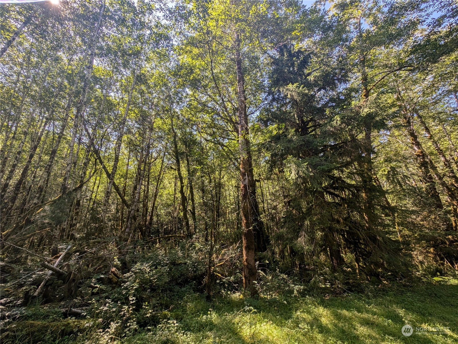 99993 Dowans Creek Road Property Photo 8