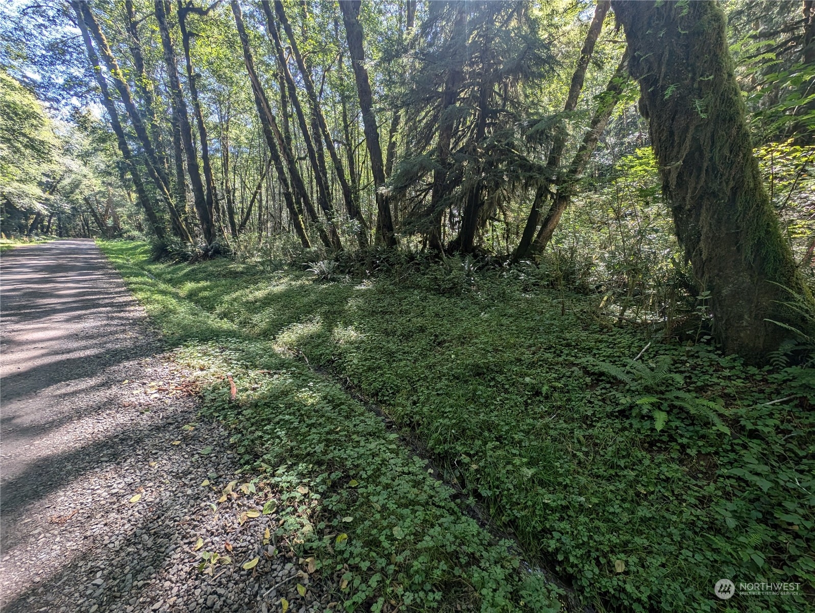99993 Dowans Creek Road Property Photo 9
