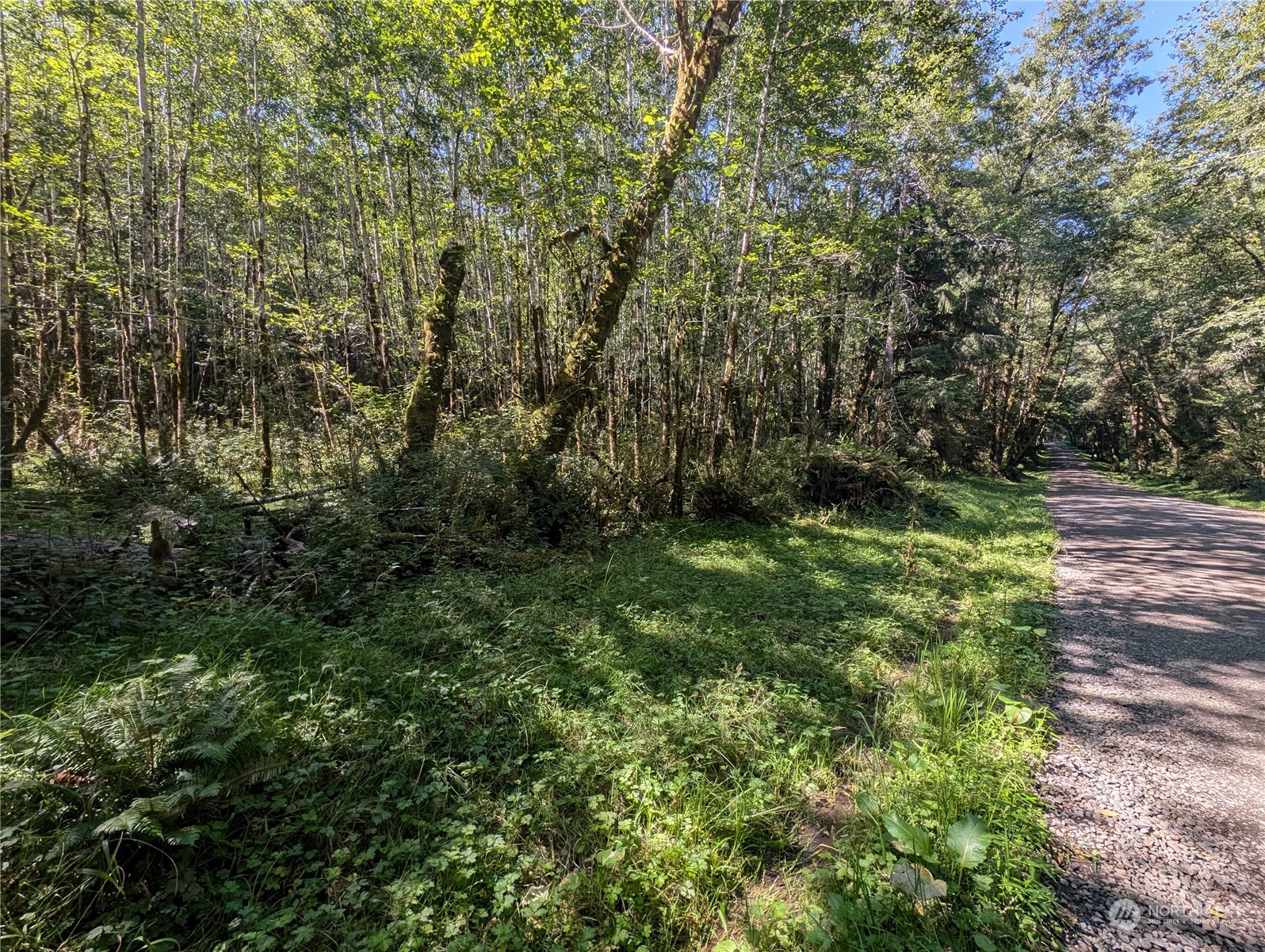 99993 Dowans Creek Road Property Photo 10