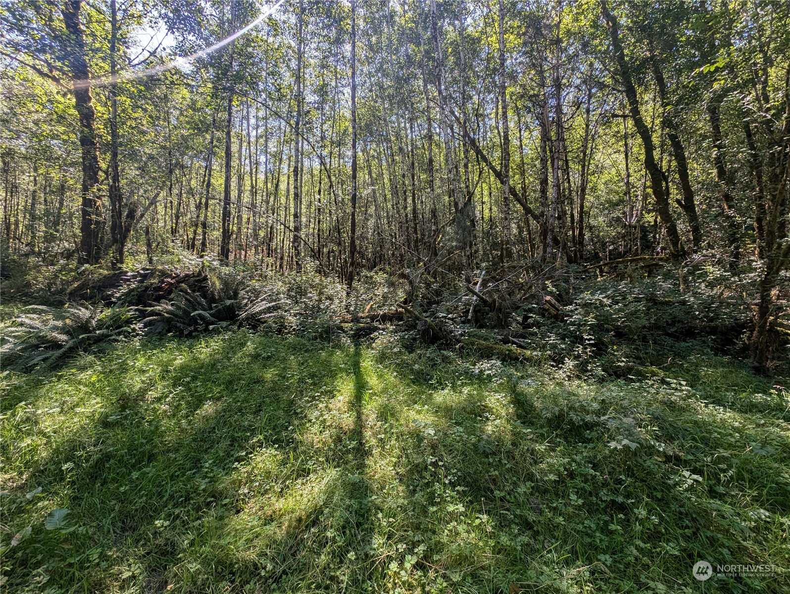 99993 Dowans Creek Road Property Photo 11
